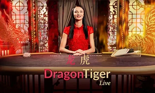 Live Bingo Experience