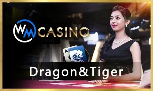 Mobile Bingo Apps